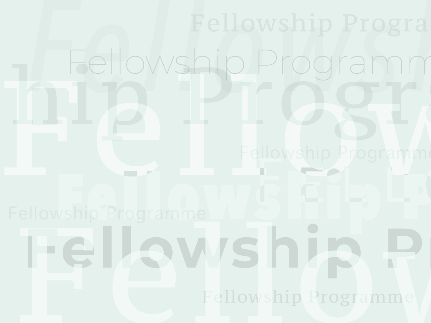 Führt zu: Fellowship-Programm