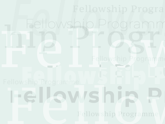 Führt zu: Fellowship-Programm